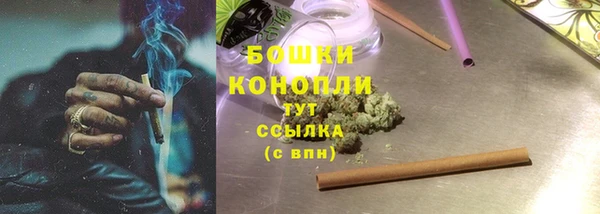 гидра Верхний Тагил