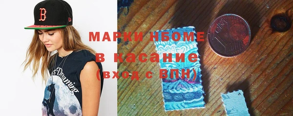 стаф Верея