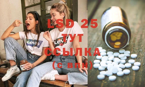 стаф Верея